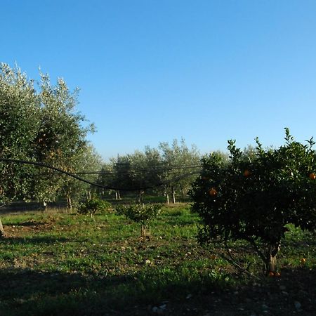 Agriturismo - B&B La Funicolare Francavilla Marittima Exterior foto